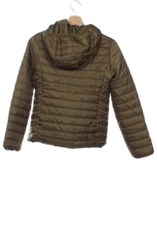 Damenjacke Stradivarius, Größe XS, Farbe Grün, Preis € 10,99