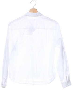 Dziecięca koszula Calvin Klein Jeans, Rozmiar 12-13y/ 158-164 cm, Kolor Biały, Cena 378,99 zł