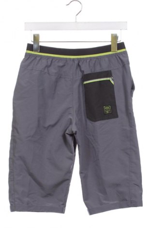 Kinder Shorts Decathlon, Größe 14-15y/ 168-170 cm, Farbe Grau, Preis € 4,99