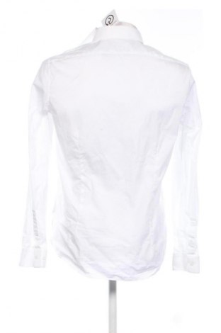 Herrenhemd Calvin Klein, Größe L, Farbe Weiß, Preis 114,99 €