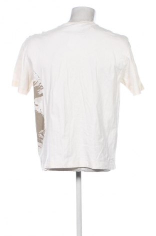 Herren T-Shirt Calvin Klein, Größe XL, Farbe Mehrfarbig, Preis 56,99 €
