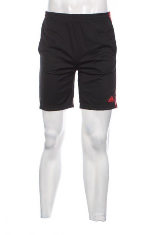 Herren Shorts Adidas, Größe L, Farbe Schwarz, Preis 23,99 €