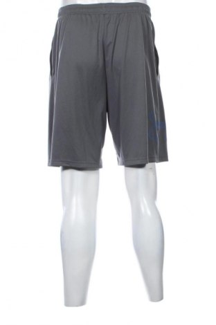 Pánske kraťasy  Under Armour, Veľkosť L, Farba Sivá, Cena  19,95 €