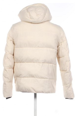 Herrenjacke Calvin Klein, Größe L, Farbe Ecru, Preis € 204,99