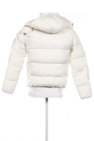 Pánská bunda  Calvin Klein Jeans, Velikost XS, Barva Krémová, Cena  3 099,00 Kč