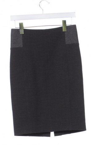 Φούστα Brunello Cucinelli, Μέγεθος XS, Χρώμα Γκρί, Τιμή 397,24 €