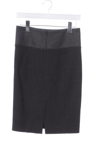 Φούστα Brunello Cucinelli, Μέγεθος XS, Χρώμα Γκρί, Τιμή 397,24 €