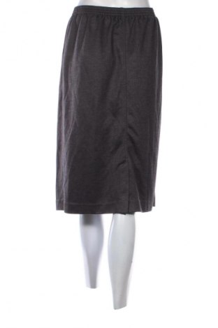 Φούστα Unbranded, Μέγεθος L, Χρώμα Καφέ, Τιμή 4,99 €