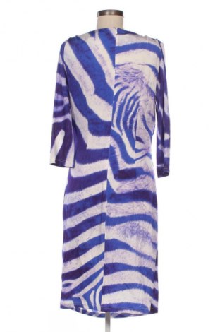 Šaty  Barbara Schwarzer, Veľkosť L, Farba Viacfarebná, Cena  47,95 €