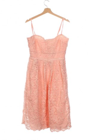 Kleid Boohoo, Größe M, Farbe Rosa, Preis € 24,99