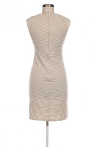 Kleid Cinque, Größe S, Farbe Mehrfarbig, Preis 56,99 €