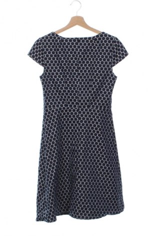 Kleid Comma,, Größe XS, Farbe Mehrfarbig, Preis 56,99 €