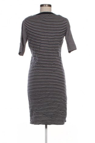 Φόρεμα Costes, Μέγεθος XXL, Χρώμα Πολύχρωμο, Τιμή 30,99 €