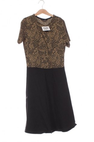 Kleid Dorothy Perkins, Größe XS, Farbe Mehrfarbig, Preis 5,99 €