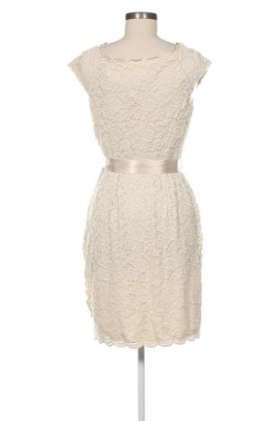 Kleid Laura Petites, Größe M, Farbe Beige, Preis 132,99 €