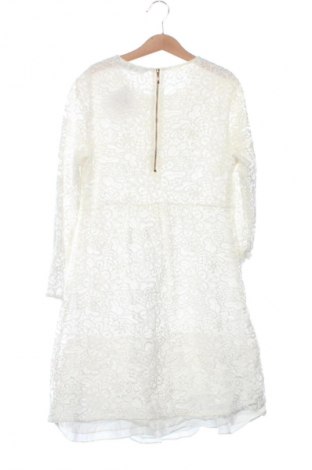 Sukienka Zara, Rozmiar XS, Kolor Kolorowy, Cena 88,99 zł
