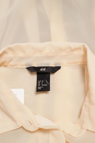 Γυναικείο πουκάμισο H&M, Μέγεθος S, Χρώμα Εκρού, Τιμή 15,46 €