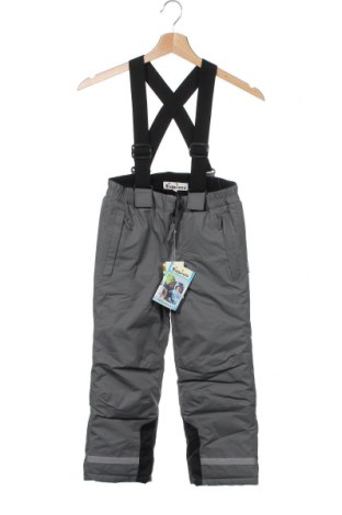 Παιδικό παντελόνι για χειμερινά σπορ Playshoes, Μέγεθος 5-6y/ 116-122 εκ., Χρώμα Γκρί, Πολυεστέρας, Τιμή 42,14 €