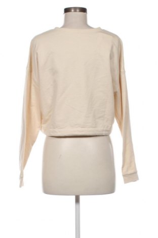 Γυναικεία μπλούζα, Μέγεθος L, Χρώμα Εκρού, Τιμή 2,35 €
