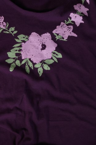 Γυναικεία μπλούζα, Μέγεθος XL, Χρώμα Βιολετί, Τιμή 5,00 €
