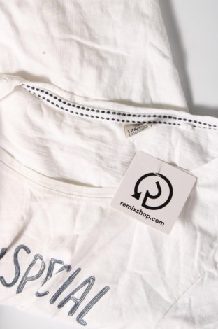 Γυναικεία μπλούζα 17 & Co., Μέγεθος M, Χρώμα Λευκό, Τιμή 11,75 €