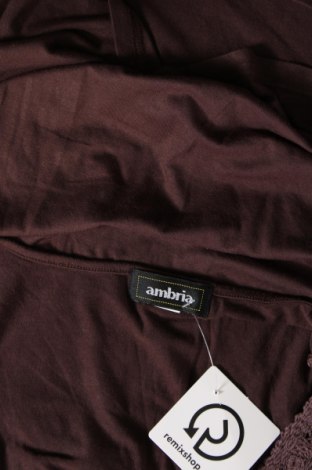 Bluză de femei Ambria, Mărime XL, Culoare Maro, Preț 48,47 Lei