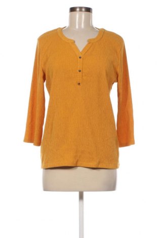 Γυναικεία μπλούζα Armand Thiery, Μέγεθος M, Χρώμα Κίτρινο, Τιμή 8,70 €