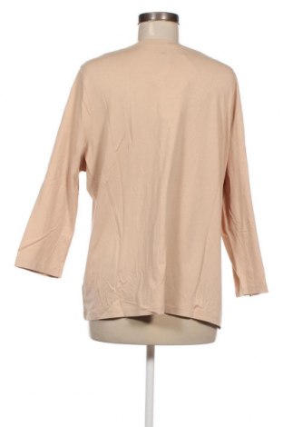 Γυναικεία μπλούζα Basler, Μέγεθος XXL, Χρώμα  Μπέζ, Τιμή 16,57 €