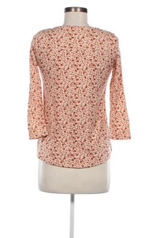Γυναικεία μπλούζα Camaieu, Μέγεθος XS, Χρώμα Πολύχρωμο, Τιμή 5,27 €