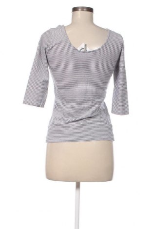 Damen Shirt Chicoree, Größe M, Farbe Mehrfarbig, Preis € 3,89