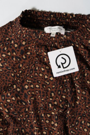 Γυναικεία μπλούζα Christian Berg, Μέγεθος S, Χρώμα Καφέ, Τιμή 4,18 €