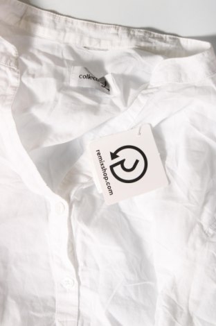 Γυναικεία μπλούζα Collection L, Μέγεθος L, Χρώμα Λευκό, Τιμή 6,46 €