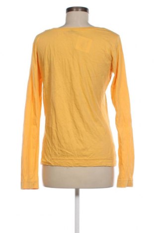 Damen Shirt Colours Of The World, Größe L, Farbe Gelb, Preis 4,10 €