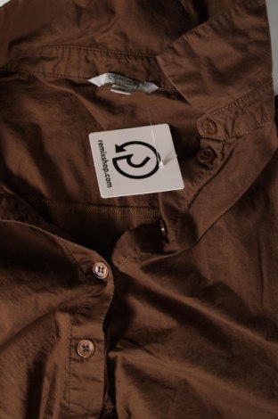 Damen Shirt Comma,, Größe S, Farbe Braun, Preis 13,50 €