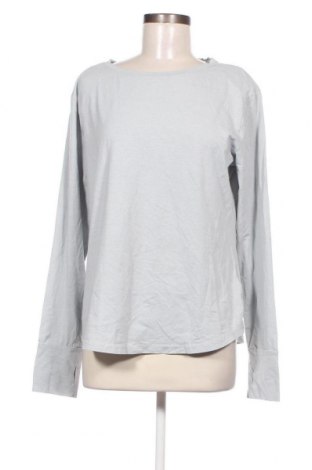 Γυναικεία μπλούζα Crane, Μέγεθος L, Χρώμα Γκρί, Τιμή 5,88 €