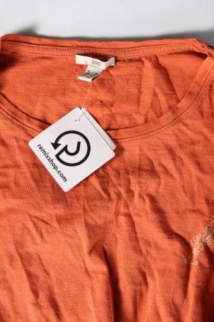 Γυναικεία μπλούζα Edc By Esprit, Μέγεθος XL, Χρώμα Πορτοκαλί, Τιμή 3,15 €