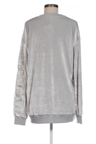Γυναικεία μπλούζα Ellesse, Μέγεθος M, Χρώμα Γκρί, Τιμή 6,75 €