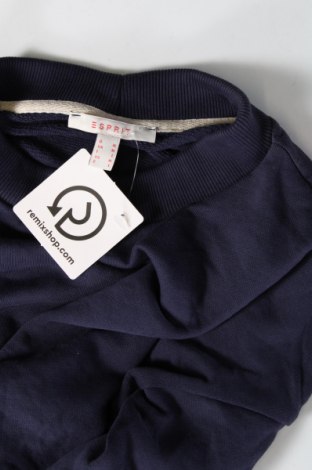 Damen Shirt Esprit, Größe M, Farbe Blau, Preis € 3,55
