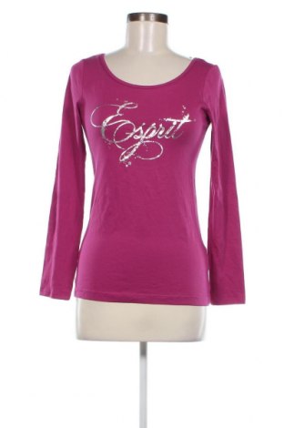 Damen Shirt Esprit, Größe S, Farbe Rosa, Preis € 7,10