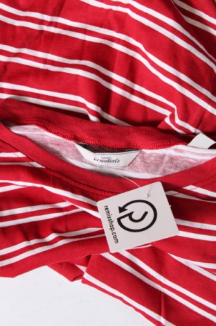 Γυναικεία μπλούζα Essentials by Tchibo, Μέγεθος L, Χρώμα Πολύχρωμο, Τιμή 4,11 €