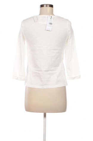 Damen Shirt Etam, Größe XS, Farbe Ecru, Preis 19,85 €