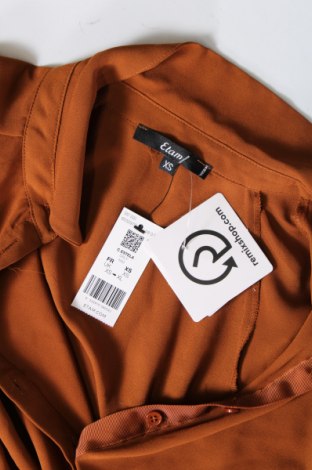 Damen Shirt Etam, Größe XS, Farbe Braun, Preis 3,97 €