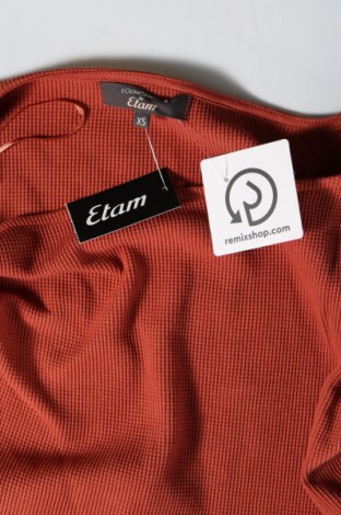 Γυναικεία μπλούζα Etam, Μέγεθος XS, Χρώμα  Μπέζ, Τιμή 9,92 €