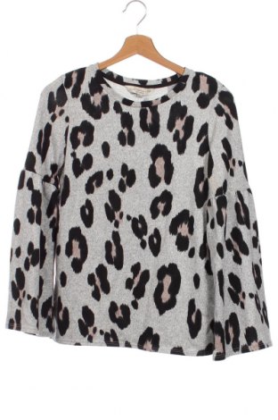 Γυναικεία μπλούζα F&F, Μέγεθος XS, Χρώμα Πολύχρωμο, Τιμή 4,70 €