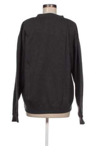 Γυναικεία μπλούζα FILA, Μέγεθος L, Χρώμα Γκρί, Τιμή 14,25 €