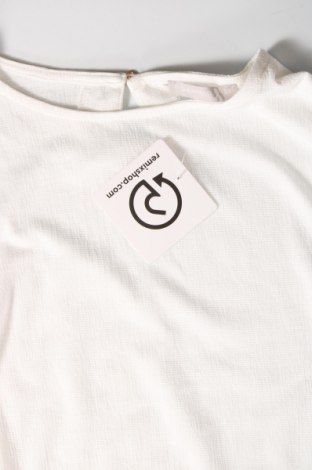 Γυναικεία μπλούζα Fisherfield, Μέγεθος S, Χρώμα Λευκό, Τιμή 4,50 €