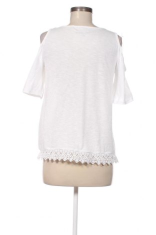 Γυναικεία μπλούζα Gina, Μέγεθος S, Χρώμα Λευκό, Τιμή 3,89 €