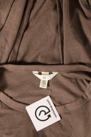 Γυναικεία μπλούζα H&M, Μέγεθος XL, Χρώμα Καφέ, Τιμή 4,00 €