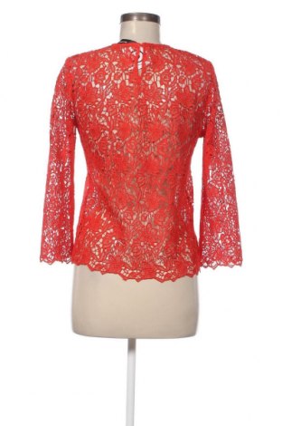 Γυναικεία μπλούζα Hallhuber, Μέγεθος S, Χρώμα Κόκκινο, Τιμή 14,00 €