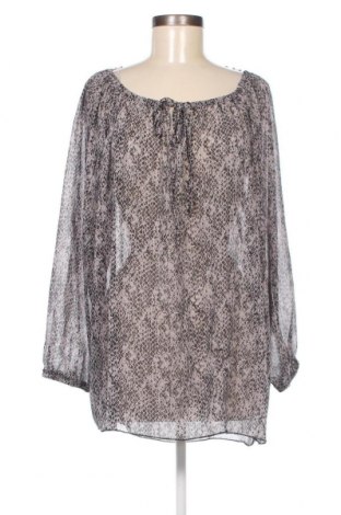 Γυναικεία μπλούζα Janina, Μέγεθος XL, Χρώμα Πολύχρωμο, Τιμή 6,70 €